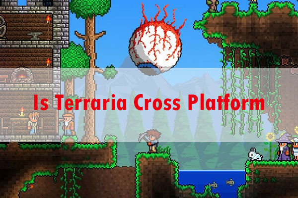 is terraria cross platform